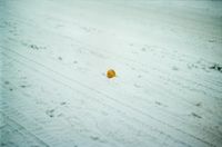 Tangerine by Shimabuku contemporary artwork photography