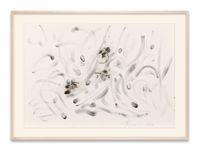 Foglie by Giuseppe Penone contemporary artwork painting, works on paper, drawing