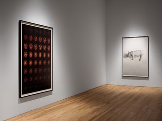 Exhibition view: Heji Shin, THE BIG NUDES, 52 Walker, New York (22 July–8 October 2023). Courtesy 52 Walker, New York.