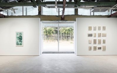 Exhibition view: Sungsic Moon, Life, Kukje Gallery, Busan (January 21–February 28, 2022). Courtesy Kukje Gallery.