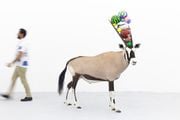 Can you smell maths? (Watermelon Oryx) by Gabriel Rico contemporary artwork 3