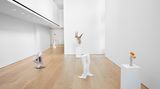 Contemporary art exhibition, Erwin Wurm, Yes Biological at Lehmann Maupin, 501 West 24th Street, New York, USA