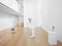 Contemporary art exhibition, Erwin Wurm, Yes Biological at Lehmann Maupin, 501 West 24th Street, New York, USA