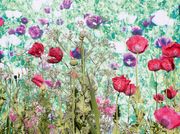 Teiger Foundation Backs U.S. Curators With $4 Million
