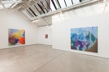Exhibition view: Victoria Morton, Treat Fever with Fever, The Modern Institute (26 January–9 March 2019). Courtesy the artist and The Modern Institute/Toby Webster Ltd, Glasgow. Photo: Patrick Jameson.