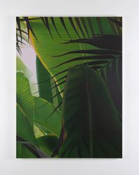 Banana VIII by Marcel Vidal contemporary artwork painting