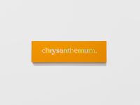 chrysanthemum in f (#2) by Ricci Albenda contemporary artwork mixed media