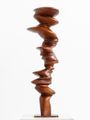 Untitled by Tony Cragg contemporary artwork 4