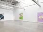 Contemporary art exhibition, Michael Williams, Fructis at David Kordansky Gallery, Los Angeles, USA