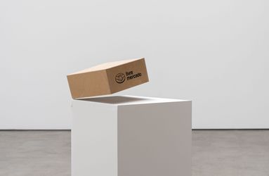 Contemporary art exhibition, Renata Lucas, Urania (a novel, a manifesto, a meme, a fiction) Chapter 1: The box that arrived in the mail at Luisa Strina, São Paulo, Brazil