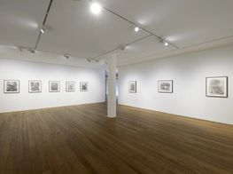 Adrian GheniePace Gallery