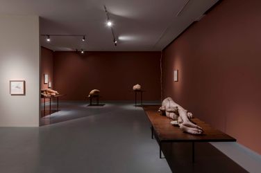 Exhibition view: Yaşam Şaşmazer, either/or, Zilberman, Istanbul (2 April–29 May 2021). Courtesy Zilberman.