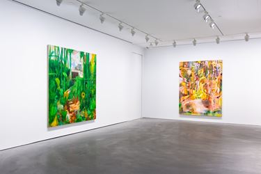 Exhibition view: Nigel Cooke, Pace Gallery, Hong Kong (23 November 2018–4 January 2019). Courtesy Pace Gallery.