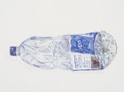 Plastic bottle peril: Gavin Turk's environmental crusade marches on in new show inspired by Extinction Rebellion