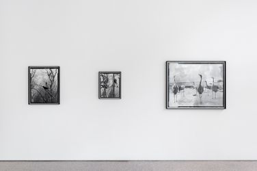Exhibition view: Gerard Byrne, Jielemeguvvie guvvie sjisjnjeli – A film inside an image & some related works, Galerie Greta Meert, Brussels (8 November 2018–19 January 2019). Courtesy Galerie Greta Meert.