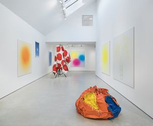 Exhibition view: Klaas Kloosterboer, Sunfloweryellow and other colors (Aspects I), Galerie Zink Waldkirchen, Seubersdorf (26 November 2023–14 January 2024). Courtesy Galerie Zink Waldkirchen, Seubersdorf.