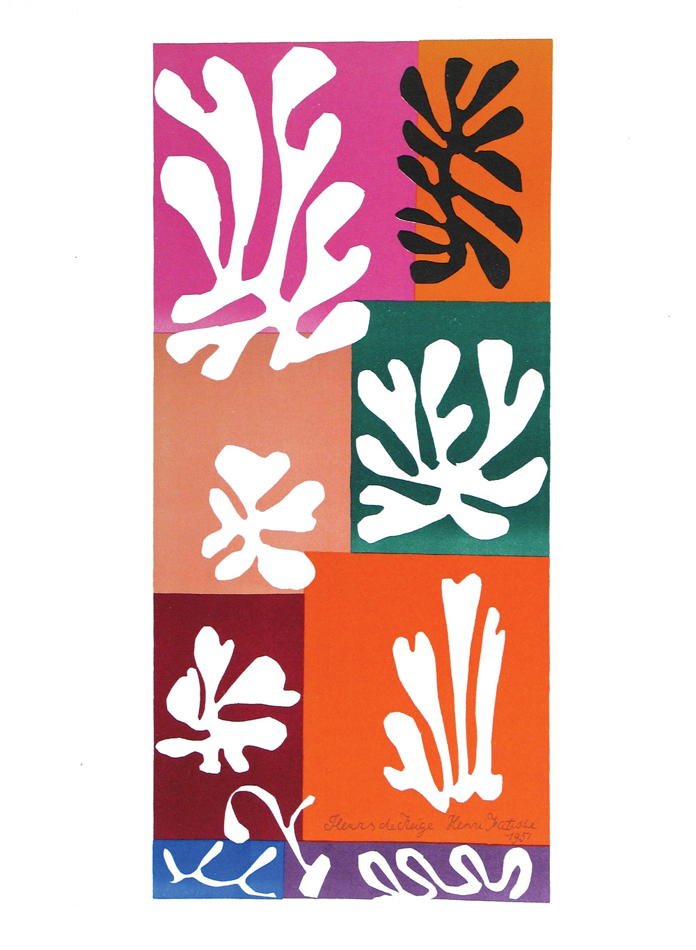 Fleurs de Neige, 1958 by Henri Matisse | Ocula