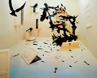 Black Birds by JeeYoung Lee contemporary artwork photography