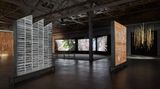 Contemporary art exhibition, Thao Nguyen Phan, Reincarnations Of Shadows at Pirelli HangarBicocca, Milan, Italy
