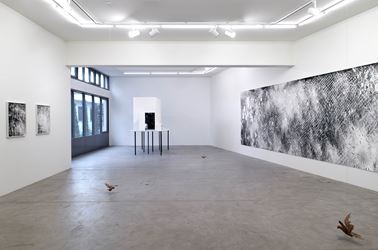 Exhibition view: Julia Steiner, circular flight, Galerie Urs Meile, Lucerne (5 March–2 May 2020). Courtesy the Artist and Galerie Urs Meile, Beijing-Lucerne.