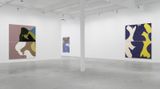 Contemporary art exhibition, Gary Hume, Wild Horses Two at Matthew Marks Gallery, 523 West 24th Street, United States