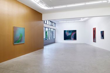 Exhibition view: Xie Qi, Disorder of Yeast, Galerie Urs Meile, Lucerne (1 December–19 February 2021). Courtesy Galerie Urs Meile.