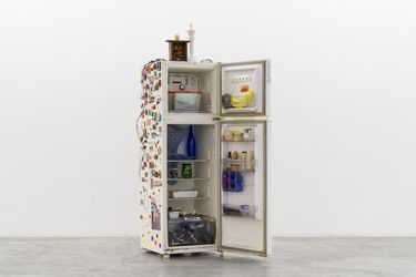 Paulo Bruscky, Entre ar condicionado (2012/2022). Refrigerator and objects. 166 x 56 x 58 cm. Courtesy Galeria Nara Roesler.