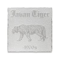 untitled 2020 (nature morte: javan tiger, panthera tigris sondaica, 1970s) by Rirkrit Tiravanija contemporary artwork sculpture