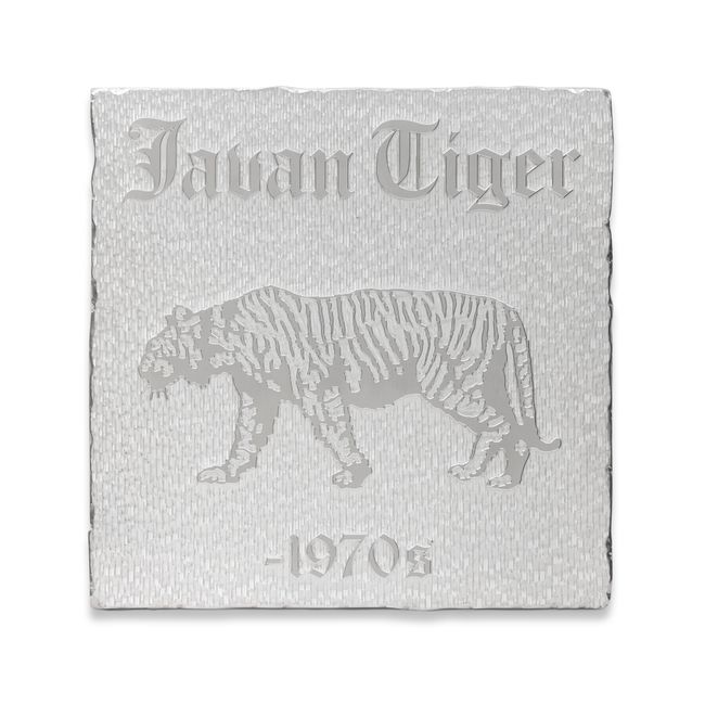 untitled 2020 (nature morte: javan tiger, panthera tigris sondaica, 1970s) by Rirkrit Tiravanija contemporary artwork