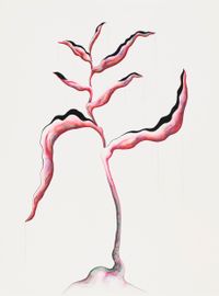 Heliconia by Grace Schwindt contemporary artwork painting, works on paper, drawing