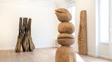Contemporary art exhibition, David Nash, The Many Voices of the Trees at Galerie Lelong & Co. Paris, 13 Rue de Téhéran, Paris, France