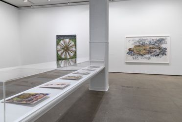 Exhibition view: Shahzia Sikander, Weeping Willows, Liquid Tongues, Sean Kelly, New York (5 November–19 December 2020). Courtesy: Sean Kelly, New York. Photo: Adam Reich.
