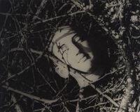 Untitled (Head Among Twigs 2) by Lionel Wendt contemporary artwork print