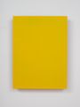 Digit Painting - light green over yellow by Noel Ivanoff contemporary artwork 1