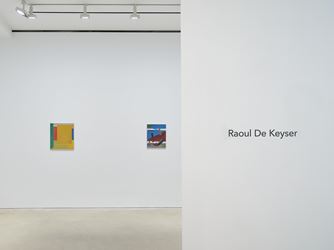 Exhibition view: Raoul De Keyser, David Zwirner, Hong Kong (15 January–20 March 2021). Courtesy David Zwirner.
