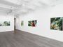 Contemporary art exhibition, Hollis Heichemer, Tumbling Through Space at Hollis Taggart, New York L1, United States