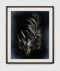 untitled#18 by Thomas Ruff contemporary artwork photography