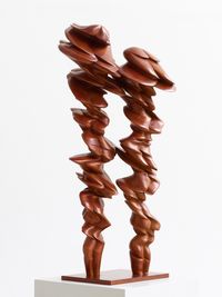 Pair by Tony Cragg contemporary artwork sculpture