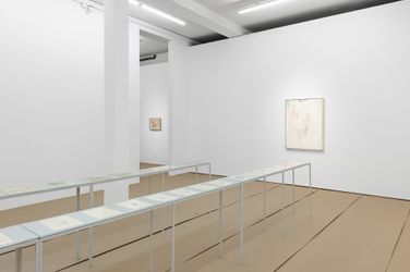 Exhibition view: Octav Grigorescu, LORA TAU and other stories, Galeria Plan B, Berlin (3 July–1 August 2020). Courtesy Galeria Plan B. 