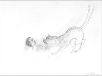 Tiger Biting Forearm by Kiki Smith contemporary artwork drawing