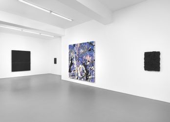 Exhibition view: Jason Martin, New Titles, Buchmann Galerie, Berlin (28 April–26 June 2023). Courtesy Buchmann Galerie.