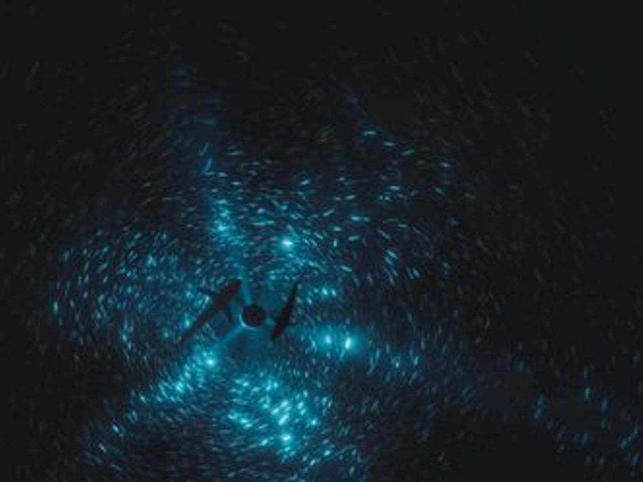 922da519-129b-4e24-8968-