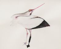 Stork by Grace Schwindt contemporary artwork works on paper
