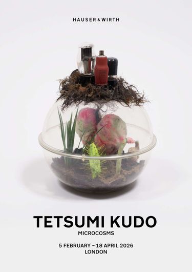 Pieter Hugo's Art For Sale, Exhibitions & Biography | Ocula Artist