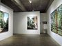 Contemporary art exhibition, Naruki Oshima, Tableau╱Bibémus: with Cezanne at Yumiko Chiba Associates, Tokyo, Japan