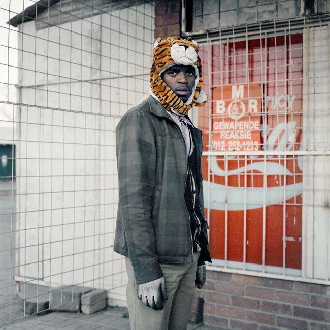 Tiger by Thabiso Sekgala contemporary artwork