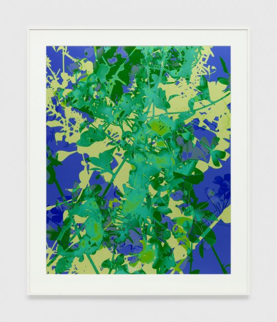 004 by James Welling contemporary artwork