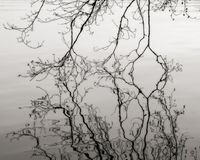 Reflection, Oregon by Jeffrey Conley contemporary artwork photography