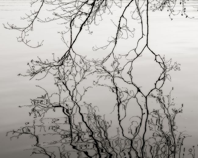 Reflection, Oregon by Jeffrey Conley contemporary artwork