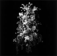 Flower Arrangement by Robert Mapplethorpe contemporary artwork photography